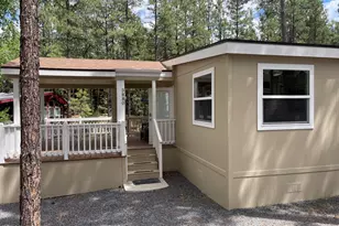 3880 S Mule Skinner Loop, Show Low, AZ 85901 - Photo 1