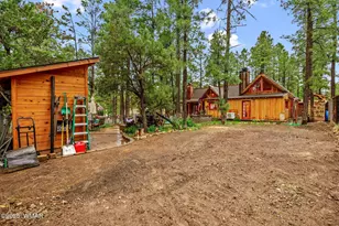 2891 Antelope Trail, Overgaard, AZ 85933 - Photo 31