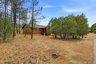 2934 Ransack Rd, Overgaard, AZ 85933 - Photo 3