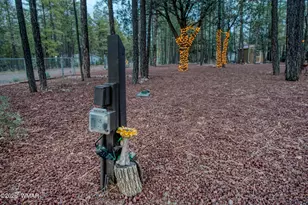 3623 Bear Trail, Lakeside, AZ 85929 - Photo 67