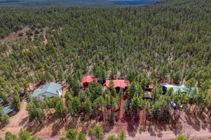 3623 Bear Trail, Lakeside, AZ 85929 - Photo 69