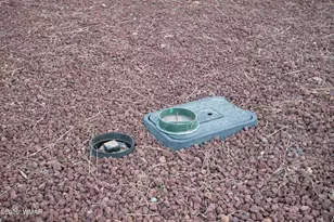 3623 Bear Trail, Lakeside, AZ 85929 - Photo 69