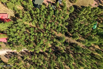 11 County Road 2135, Alpine, AZ 85920 - Photo 13