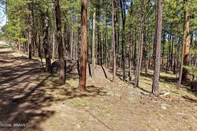 11 County Road 2135, Alpine, AZ 85920 - Photo 3