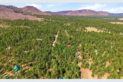 11 County Road 2135, Alpine, AZ 85920 - Photo 11