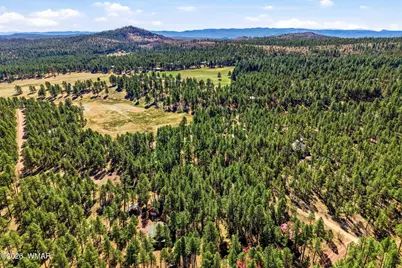 11 County Road 2135, Alpine, AZ 85920 - Photo 9