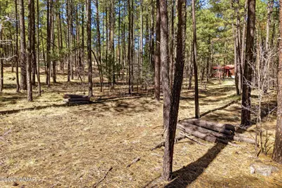 11 County Road 2135, Alpine, AZ 85920 - Photo 5