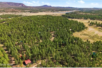 11 County Road 2135, Alpine, AZ 85920 - Photo 7