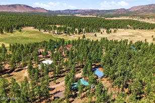 18 County Rd 2120, Alpine, AZ 85920 - Photo 31