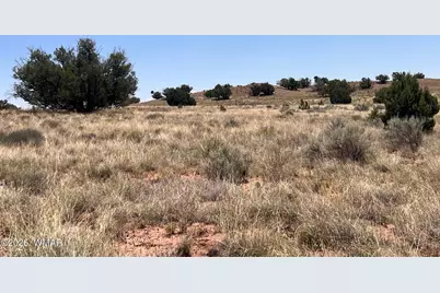 104 N9328, Concho, AZ 85924 - Photo 17