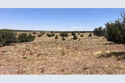 104 N9328, Concho, AZ 85924 - Photo 11