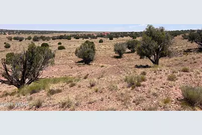 104 N9328, Concho, AZ 85924 - Photo 1