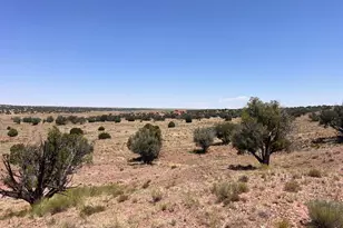 104 N9328, Concho, AZ 85924 - Photo 1