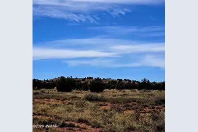 5438 County Line Road, Snowflake, AZ 85937 - Photo 1