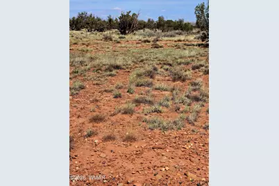 5438 County Line Road, Snowflake, AZ 85937 - Photo 7