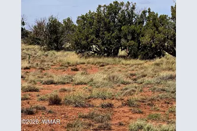 5438 County Line Road, Snowflake, AZ 85937 - Photo 3