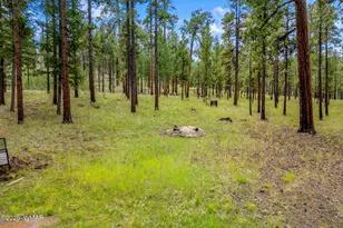 16 N1062, Greer, AZ 85927 - Photo 1