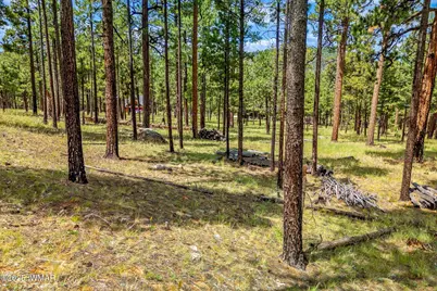 16 N1062, Greer, AZ 85927 - Photo 3