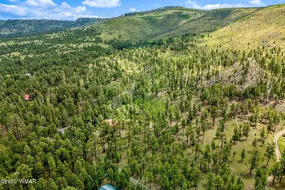 16 N1062, Greer, AZ 85927 - Photo 9