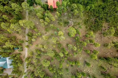 16 N1062, Greer, AZ 85927 - Photo 5