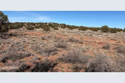 4125 Sorrel Road, Snowflake, AZ 85937 - Photo 9