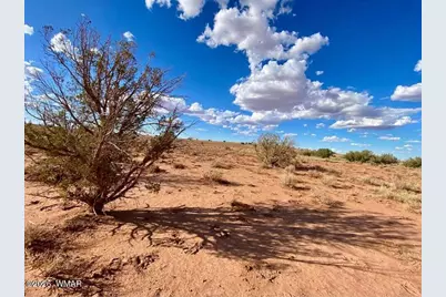 7566 Birch Lane, Snowflake, AZ 85937 - Photo 5