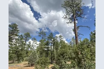 2341 W Pinegrass Road, Show Low, AZ 85901 - Photo 5