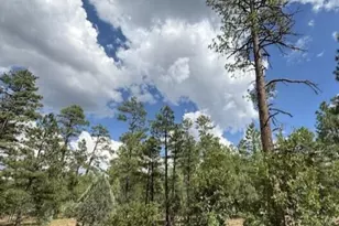 2341 W Pinegrass Rd, Show Low, AZ 85901 - Photo 5