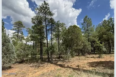 2341 W Pinegrass Road, Show Low, AZ 85901 - Photo 5