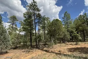 2341 W Pinegrass Rd, Show Low, AZ 85901 - Photo 5