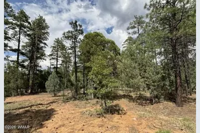 2341 W Pinegrass Road, Show Low, AZ 85901 - Photo 7