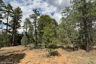 2341 W Pinegrass Rd, Show Low, AZ 85901 - Photo 7