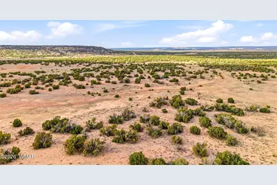Lots 61-62 Elk Valley Ranch, Saint Johns, AZ 85936 - Photo 7