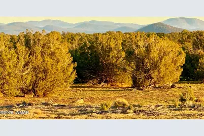 9023 Appaloosa Trl (Lot A) 5 Acres, Show Low, AZ 85901 - Photo 5