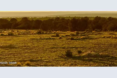 9023 Appaloosa Trl (Lot A) 5 Acres, Show Low, AZ 85901 - Photo 19
