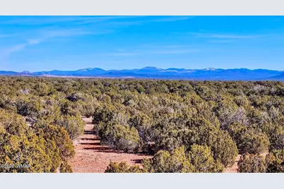 9023 Appaloosa Trl (Lot A) 5 Acres, Show Low, AZ 85901 - Photo 11