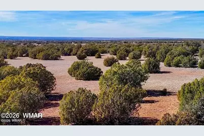 9023 Appaloosa Trl (Lot A) 5 Acres, Show Low, AZ 85901 - Photo 15