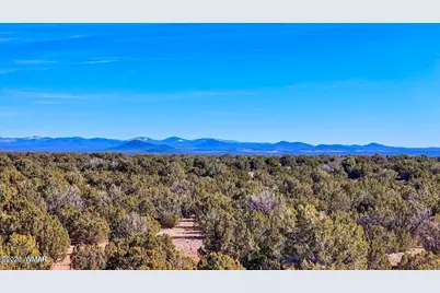 9023 Appaloosa Trl (Lot A) 5 Acres, Show Low, AZ 85901 - Photo 23
