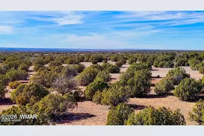 9023 Appaloosa Trl (Lot A) 5 Acres, Show Low, AZ 85901 - Photo 7