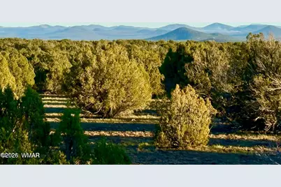 9023 Appaloosa Trl (Lot A) 5 Acres, Show Low, AZ 85901 - Photo 1