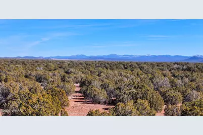 9023 Appaloosa Trl (Lot A) 5 Acres, Show Low, AZ 85901 - Photo 11