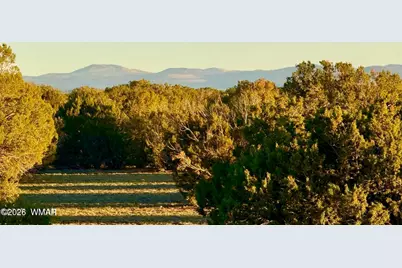 9023 Appaloosa Trl (Lot A) 5 Acres, Show Low, AZ 85901 - Photo 21
