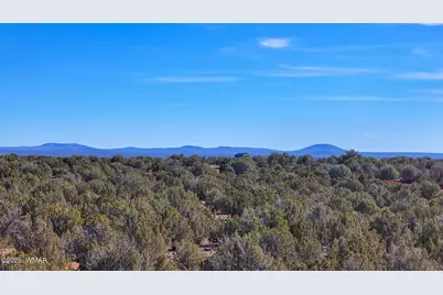 9023 Appaloosa Trl (Lot B) 5 Acres, Show Low, AZ 85901 - Photo 3