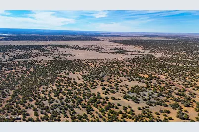 9023 Appaloosa Trl (Lot B) 5 Acres, Show Low, AZ 85901 - Photo 17