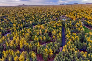 2896 N Aspen Rd, Pinetop, AZ 85935 - Photo 73