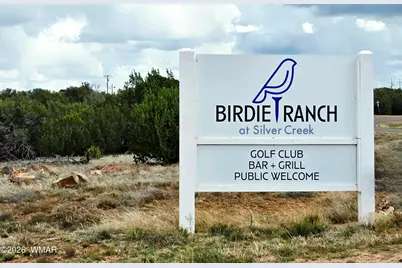 8406 Lake View Drive, Show Low, AZ 85901 - Photo 35