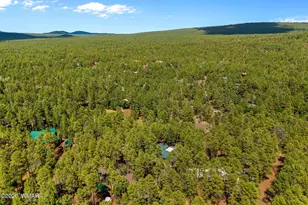 328 W Billy Creek Dr, Lakeside, AZ 85929 - Photo 43