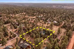 2952 Country View Ln, Overgaard, AZ 85933 - Photo 73