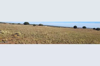 Tbd Cr 5134, Concho Valley, AZ 85924 - Photo 7