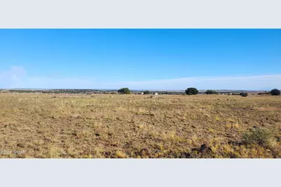 Tbd Cr 5134, Concho Valley, AZ 85924 - Photo 3